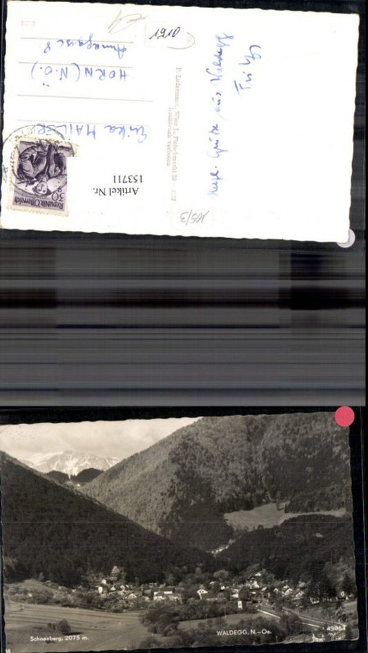 153711,Waldegg Totale m. Schneeberg