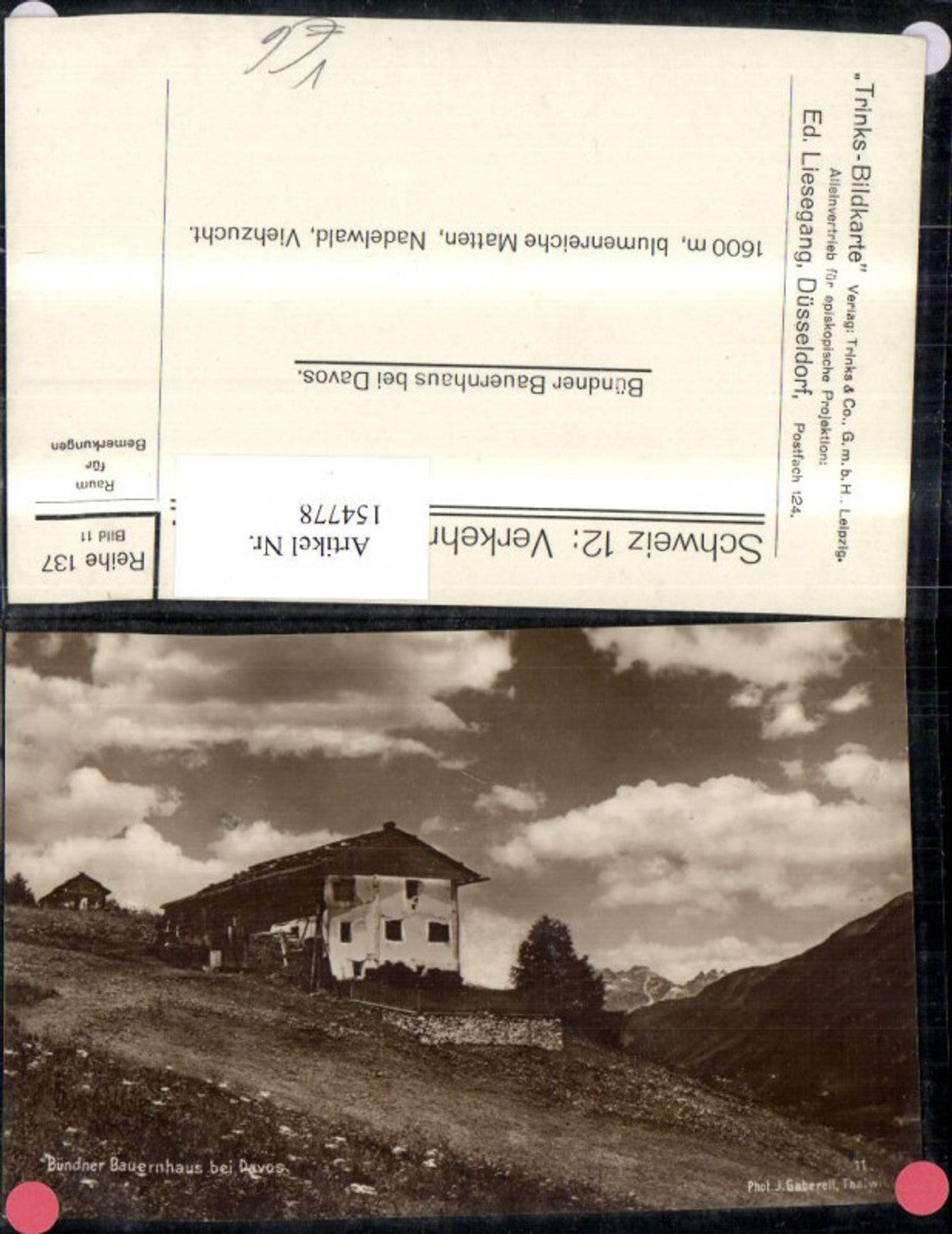 Alte Ansichtskarte – Old Postcard