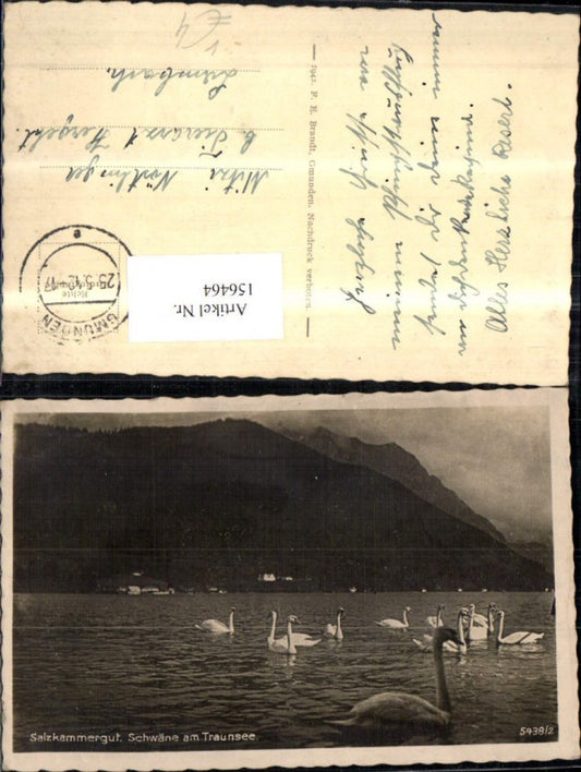 156464,Traunsee Schwäne Salzkammergut 1942 pub F E Brandt 5738/2