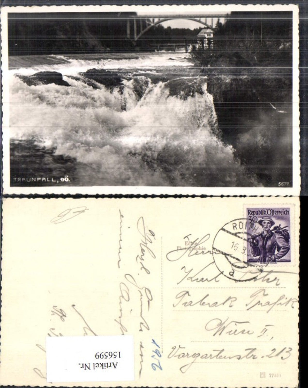 156599,Traunfall Wasserfall Wehr Brücke Steyrermühl Roitham Gmunden 1956