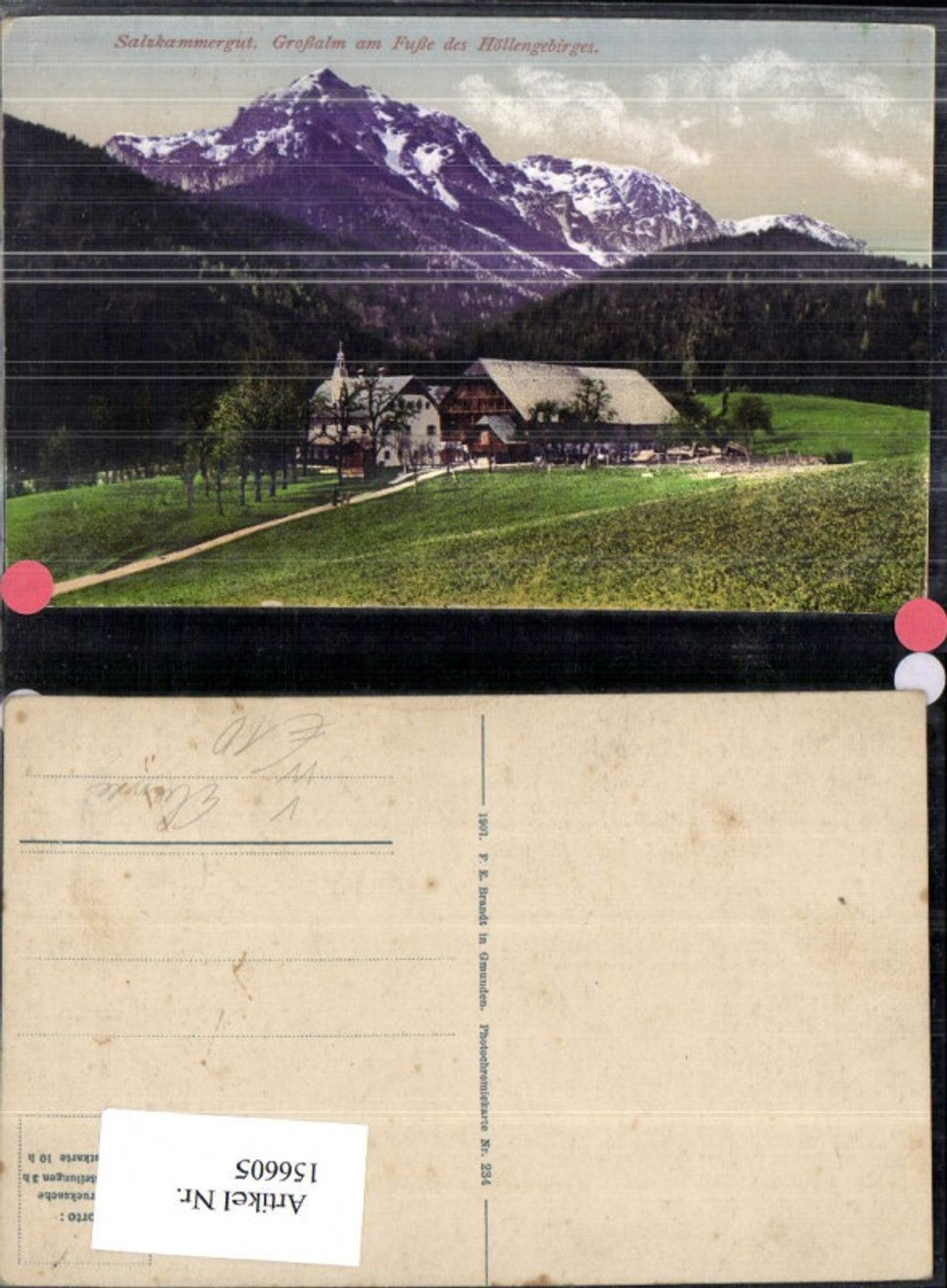 156605,Großalm a. Fuße d. Höllengebirges Salzkammergut Neukirchen b. Altmünster pub F E Brandt 234