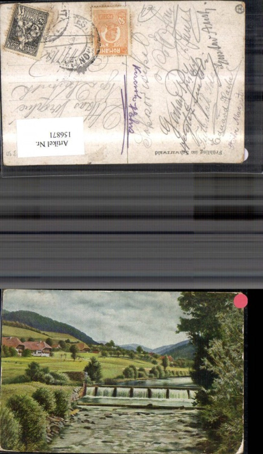 156871,Frühling im Schwarzwald Hochrhein Kraichgau