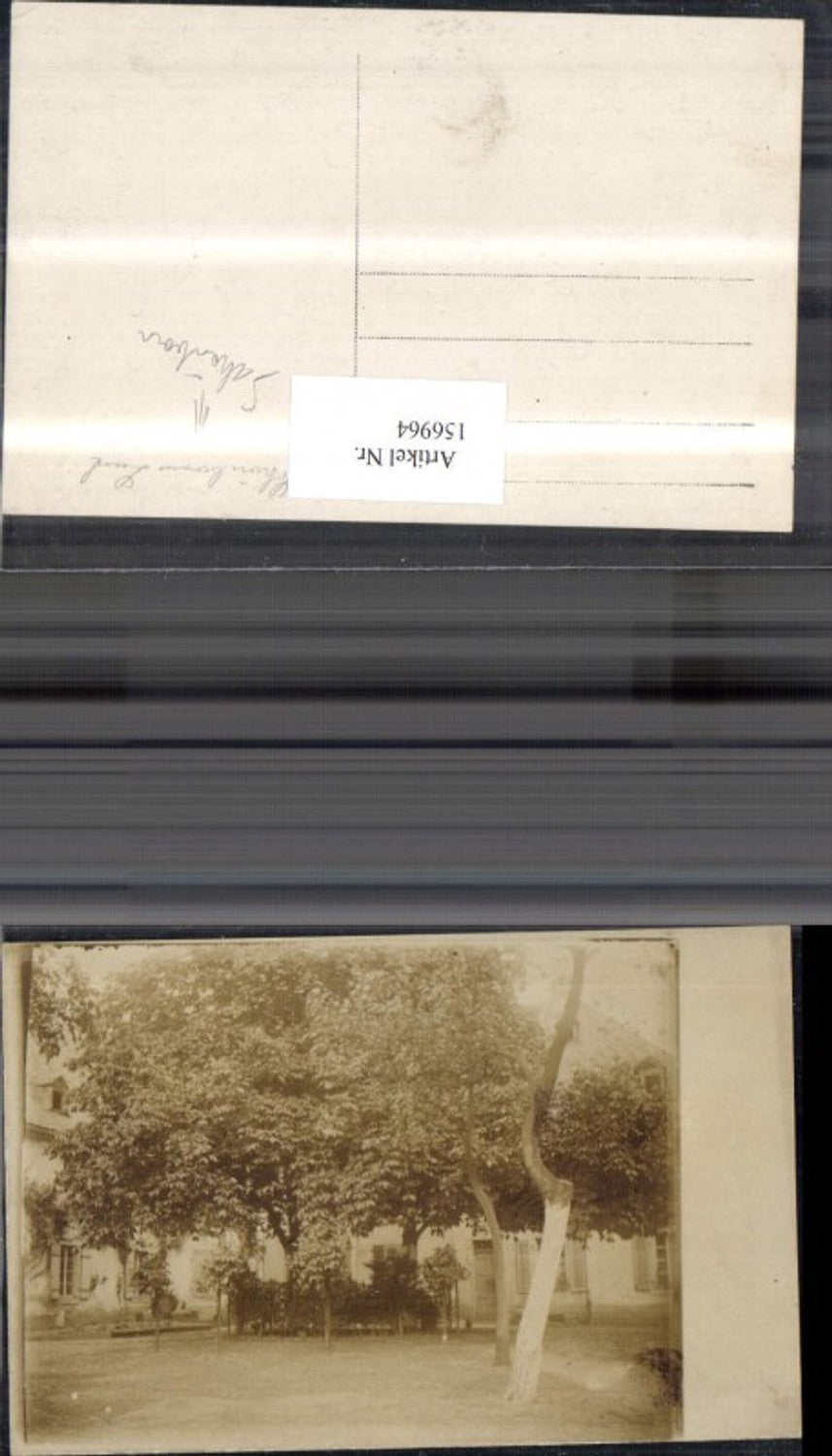 156964,Foto Ak Schönborn Hof Bäume