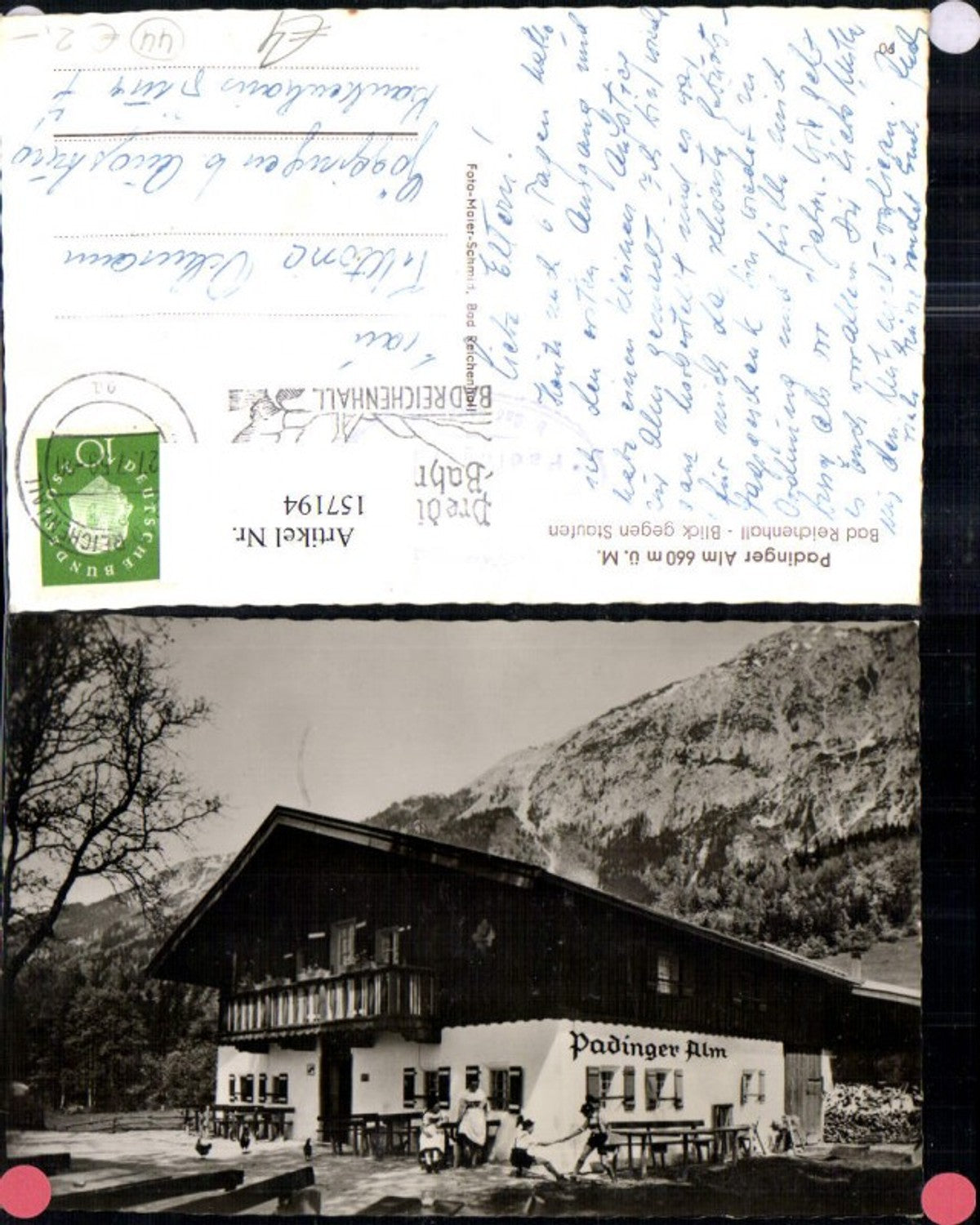 157194,Padinger Alm Bad Reichenhall Blick geg. Staufen 1959