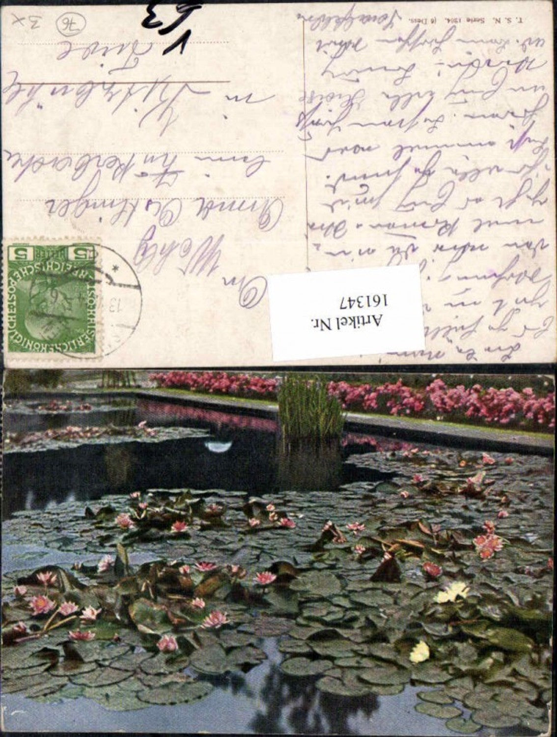 161347, Theo Stroefer 1264 Water Lilies Roses Flowers