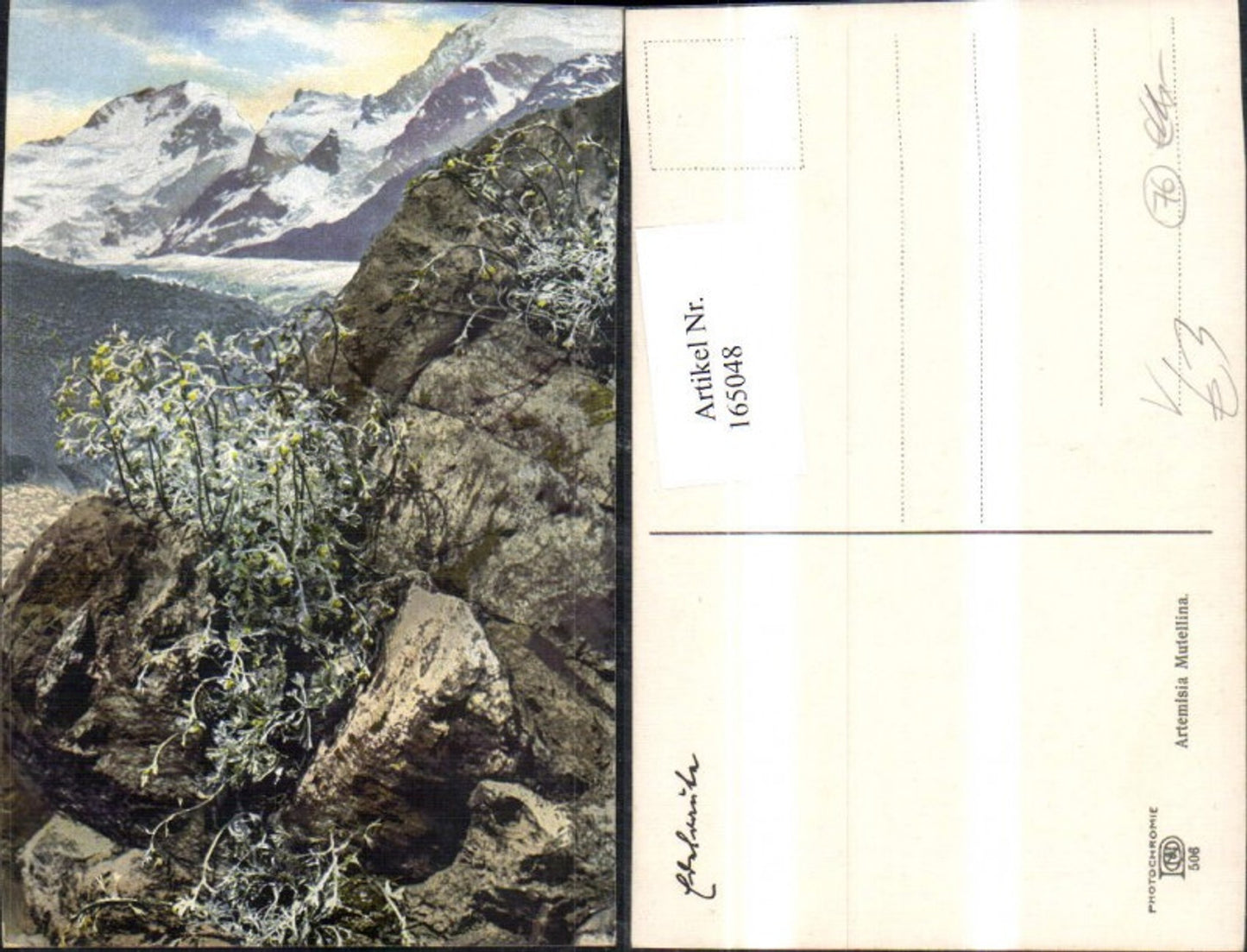 165048,Photochromie Nenke & Ostermaier 506 Blumen Gebirge Berglandschaft