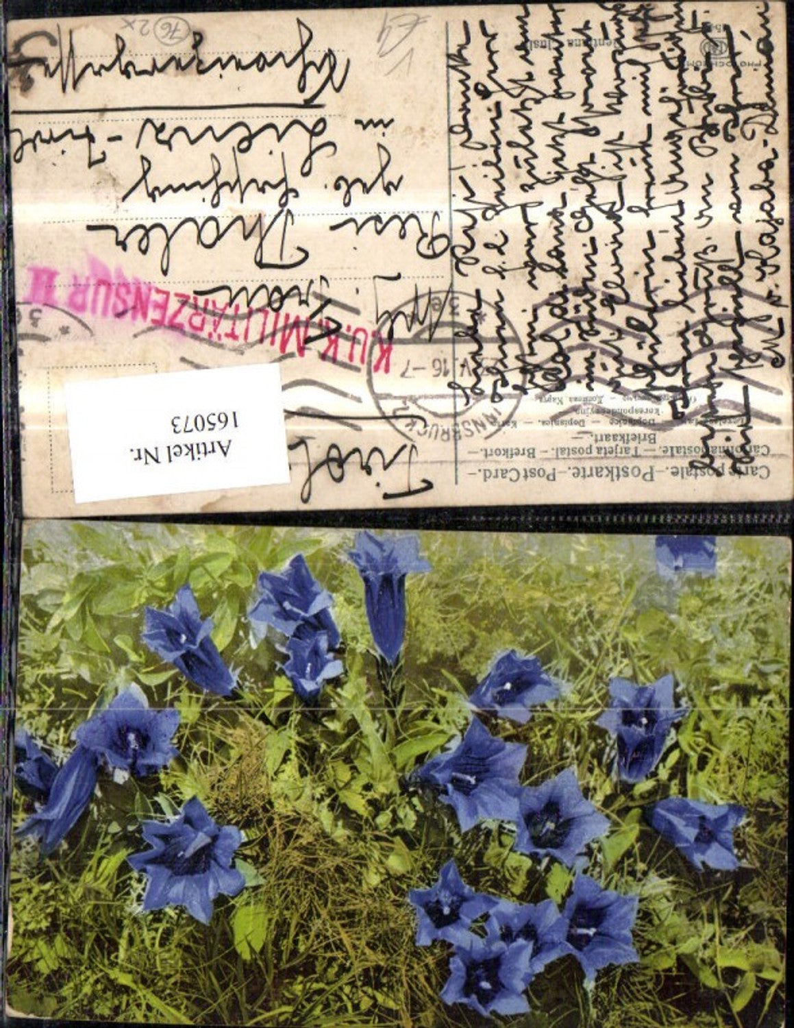 165073,Photochromie Nenke & Ostermaier 454 Enzian Blumen