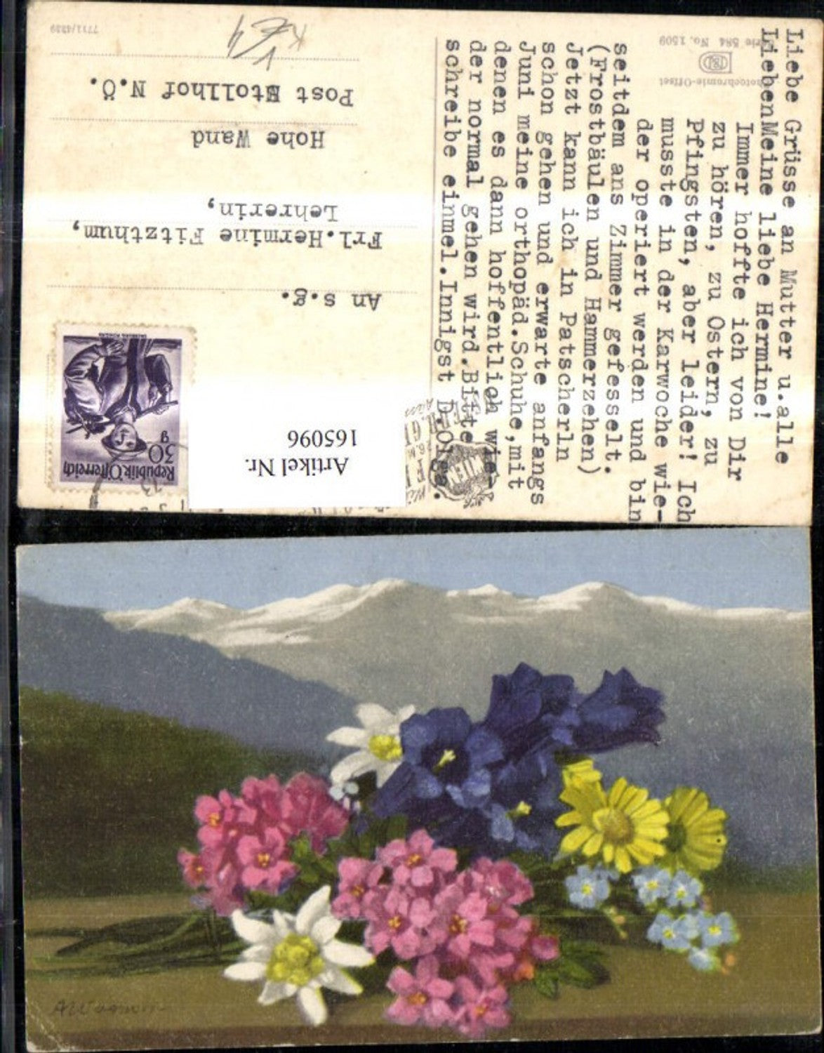 165096,Photochromie Nenke & Ostermaier 584/1509 Blumenstrauß Blumen Gebirge sign A Wagner