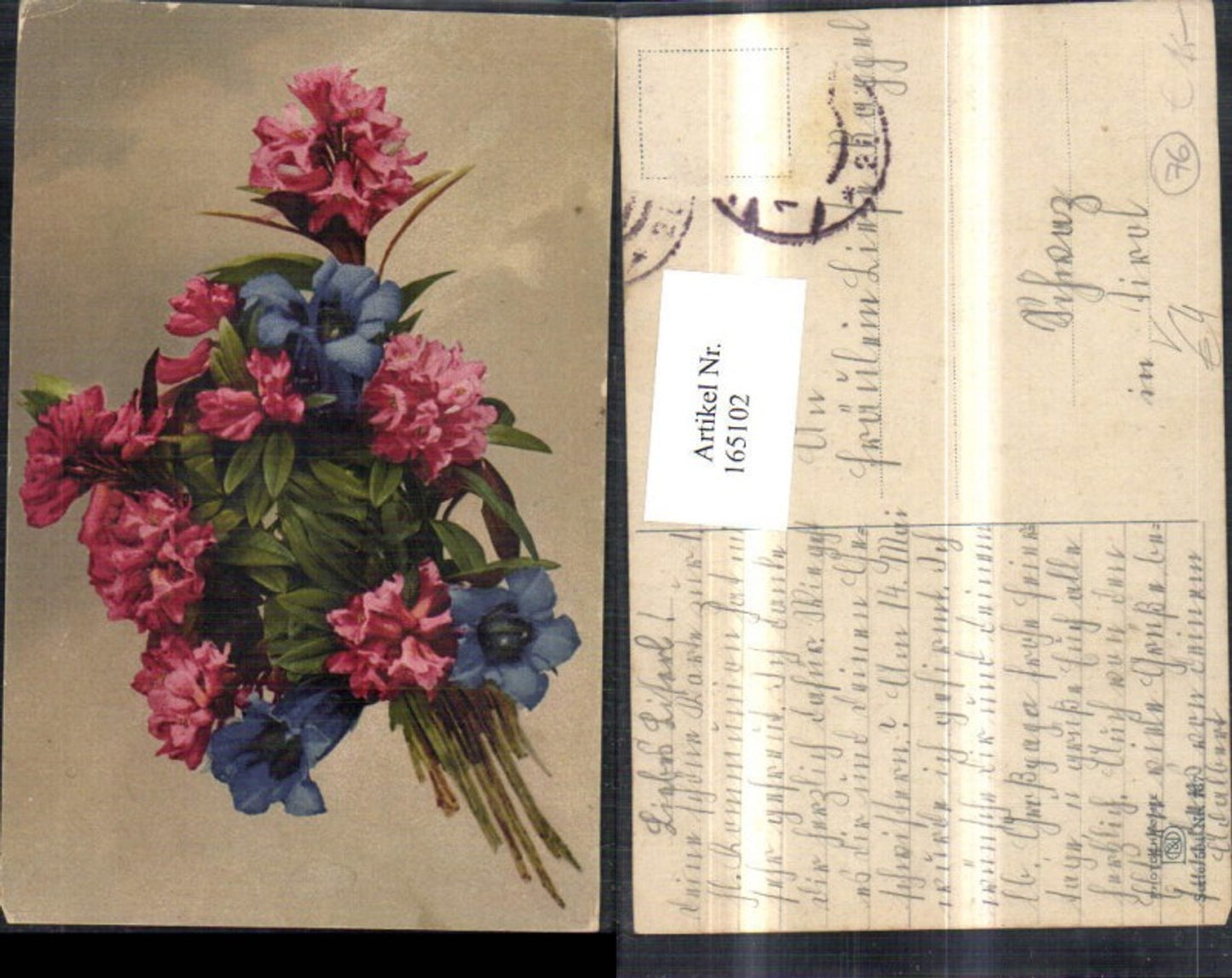 165102,Photochromie Nenke & Ostermaier 504/737 Blumen Enzian