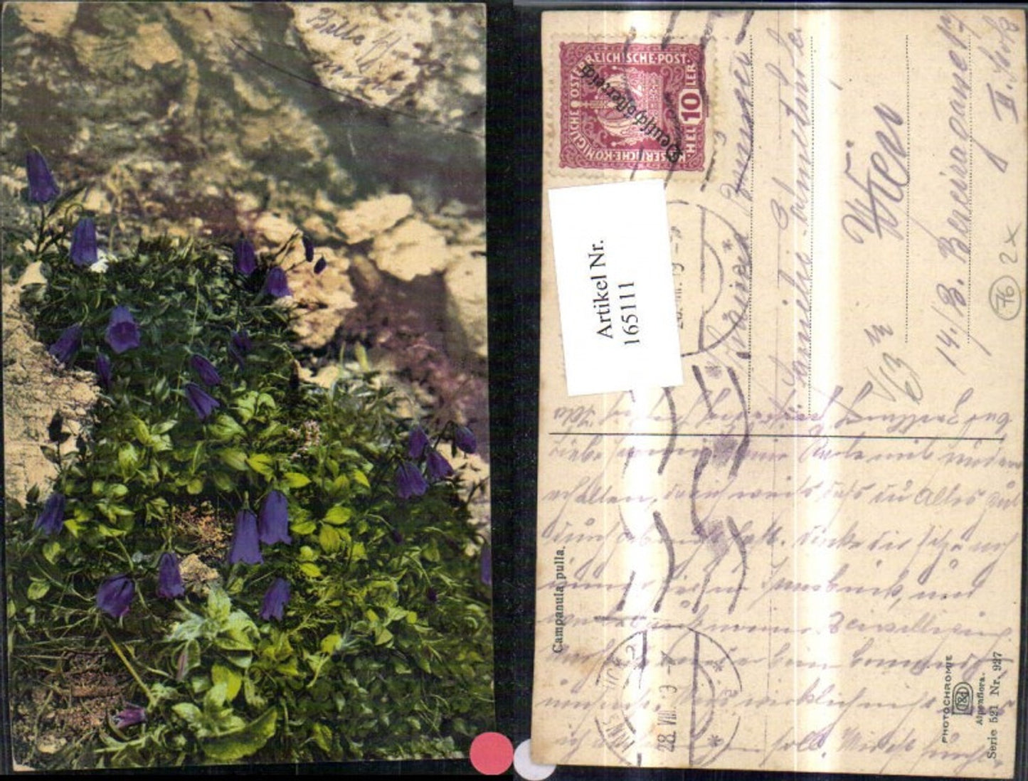 165111,Photochromie Nenke & Ostermaier 521/927 Enzian Blumen Felsen Steine