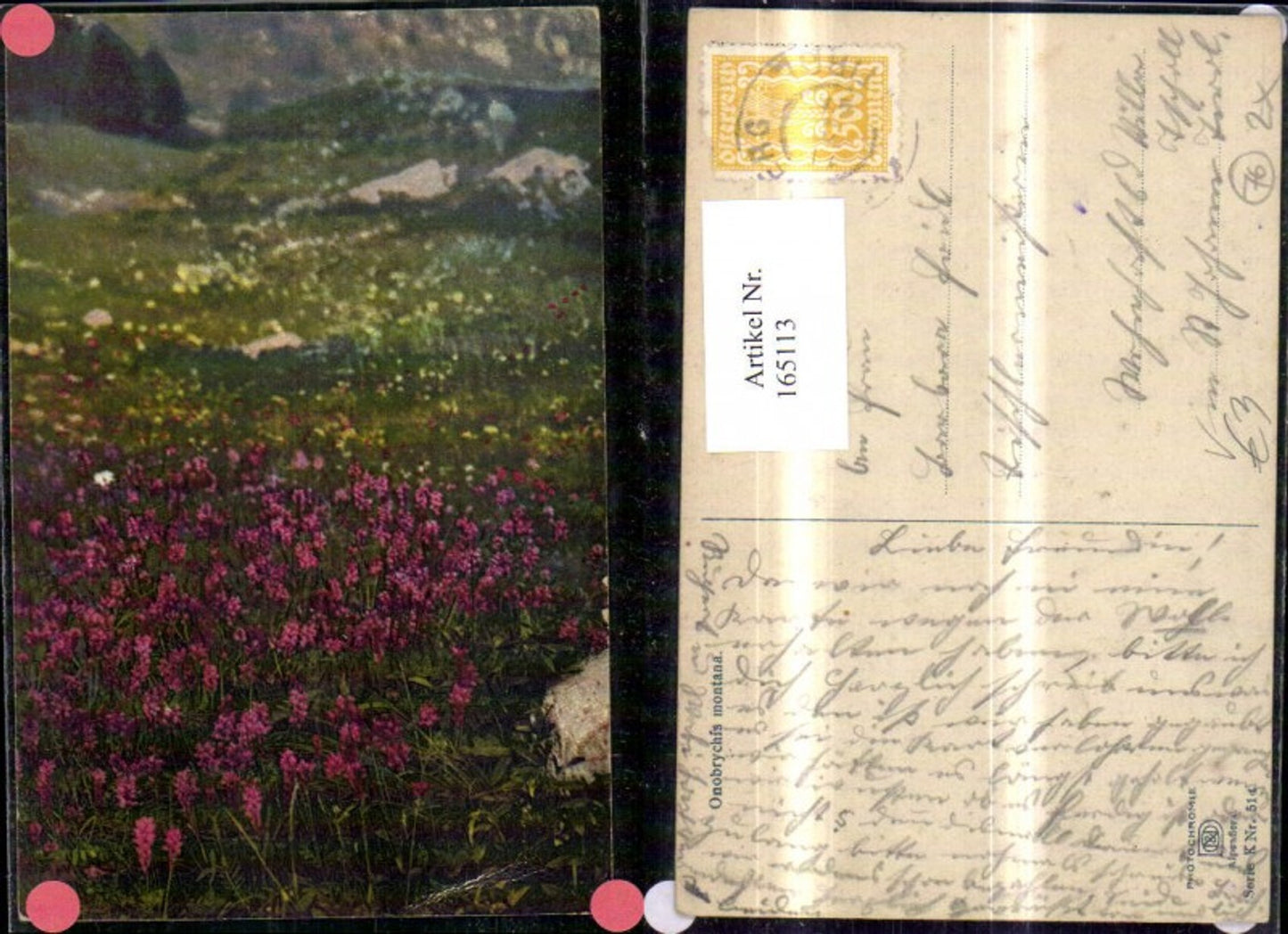165113,Photochromie Nenke & Ostermaier K/514 Blumen Berglandschaft