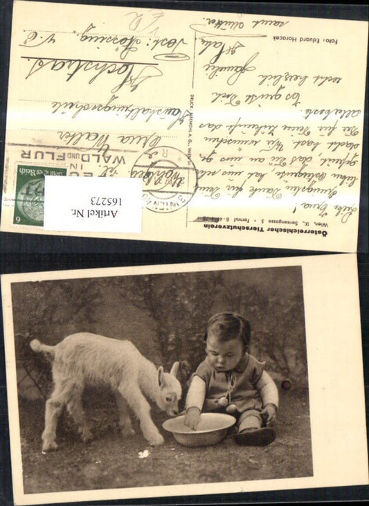 165273, Austrian Animal Welfare Association Baby Toddler with Lamb Milk Bowl Dish