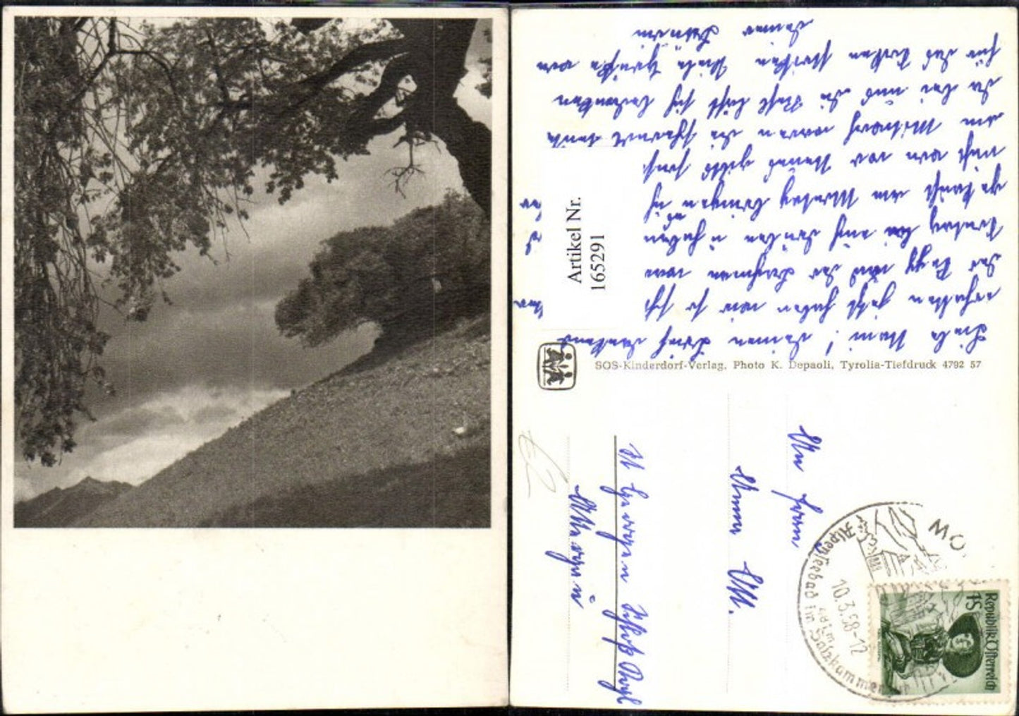 165291, SOS Children's Village Tree Landscape