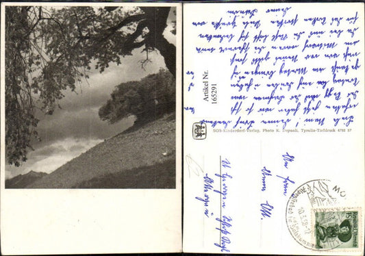 165291, SOS Children's Village Tree Landscape