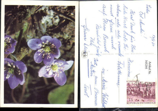 165295, SOS Children's Village Flowers