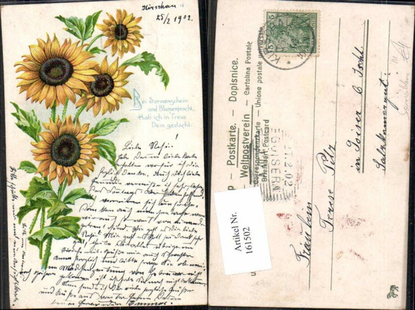 161502, Lithograph 1902 Kirschau Sunflowers Flowers