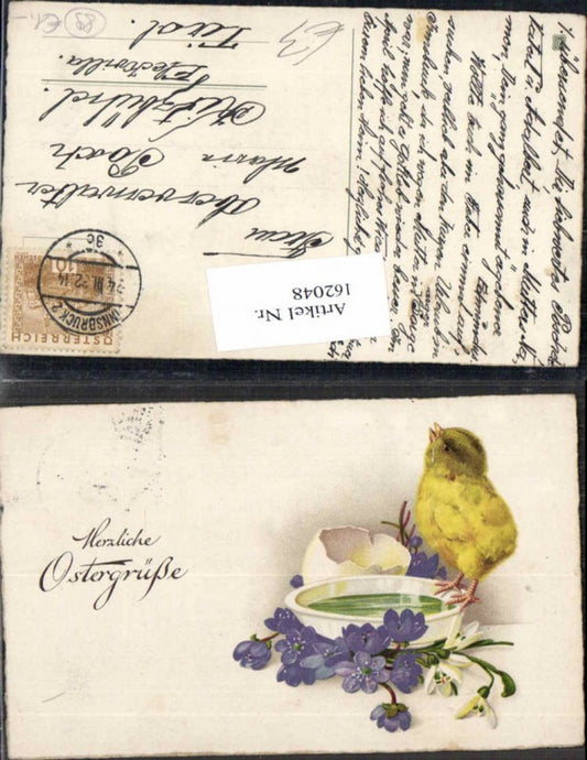 162048, Easter chick drinking water Easter egg flowers