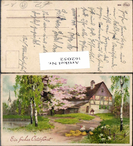 162052, Easter House Chick Birch Trees