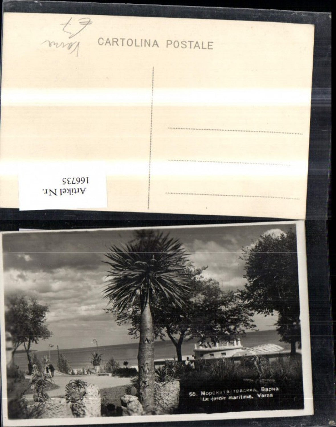 166735,Varna Le jardin maritime Strand Palme Warna