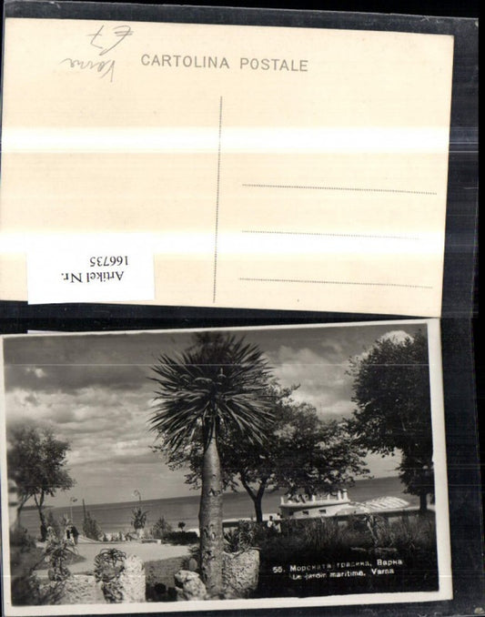 166735,Varna Le jardin maritime Strand Palme Warna