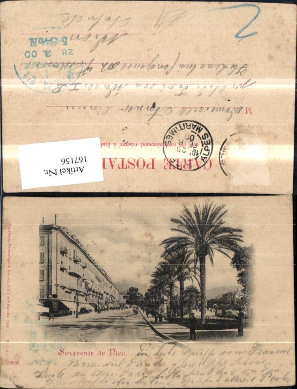 167156,Souvenir de Nice Nizza Strassenansicht Palmen
