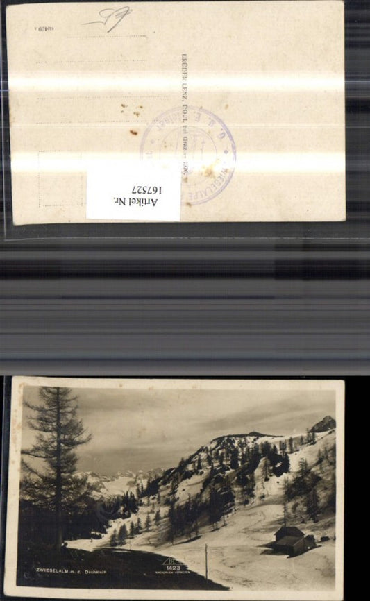 167527,Gosau Zwieselalm m. d. Dachstein