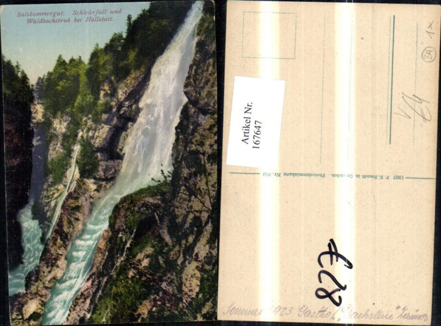 167647,Salzkammergut Hallstatt Schleierfall u. Waldbachstrub pub Brandt 866
