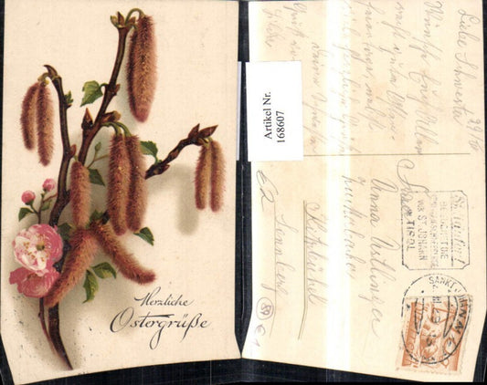 168607, Easter pussy willow flower