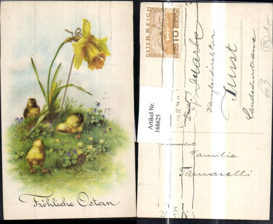 168625, Easter chick daffodil meadow
