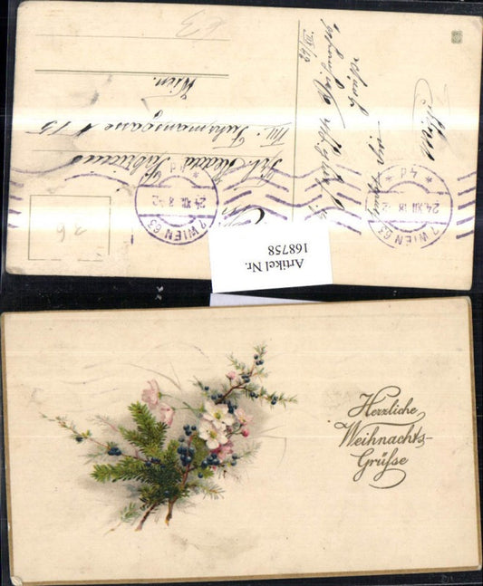 168758, Christmas fir branch flowers