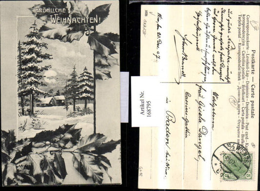 168795, Christmas snowscape house trees mistletoe branches
