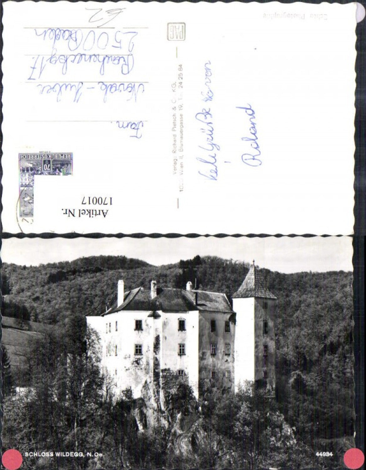 170017,Wienerwald Sittendorf Schloss Wildegg