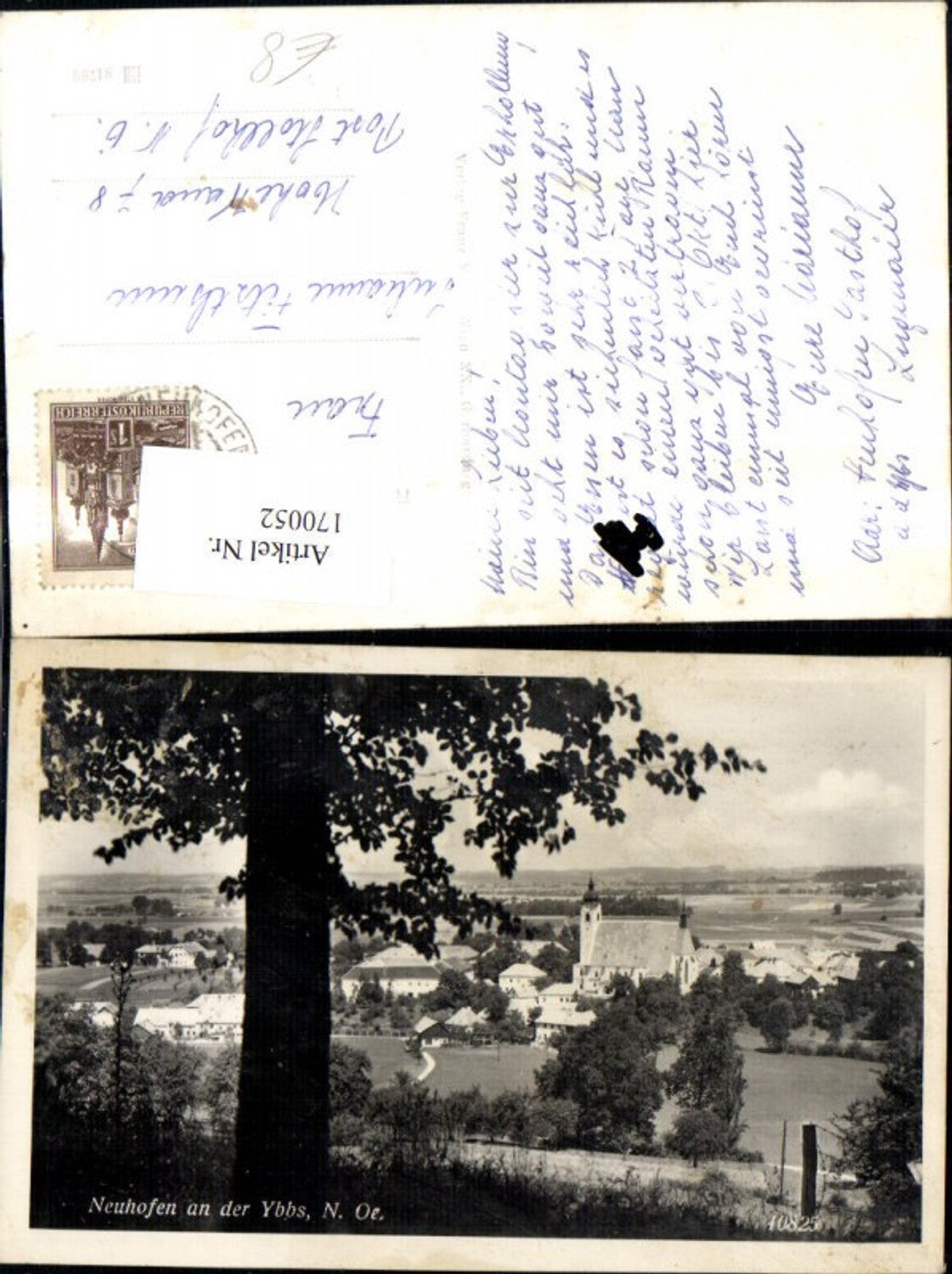 170052,Neuhofen a. d. Ybbs Ansicht m. Baum