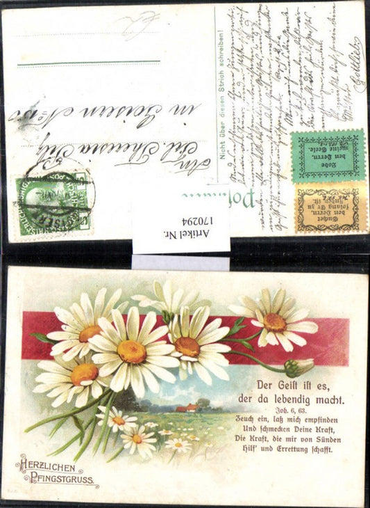 170294, Pentecost Flowers Landscape