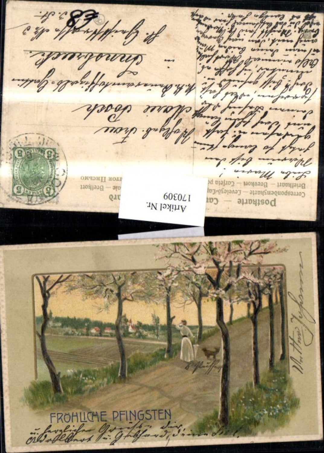 170309,Pfingsten Präge AK Frau m. Schirm u. Hund Weg Allee Landschaft Dorf