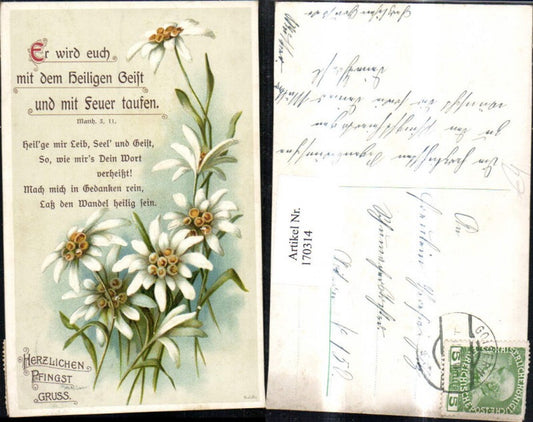 170314,Pfingsten Blumen