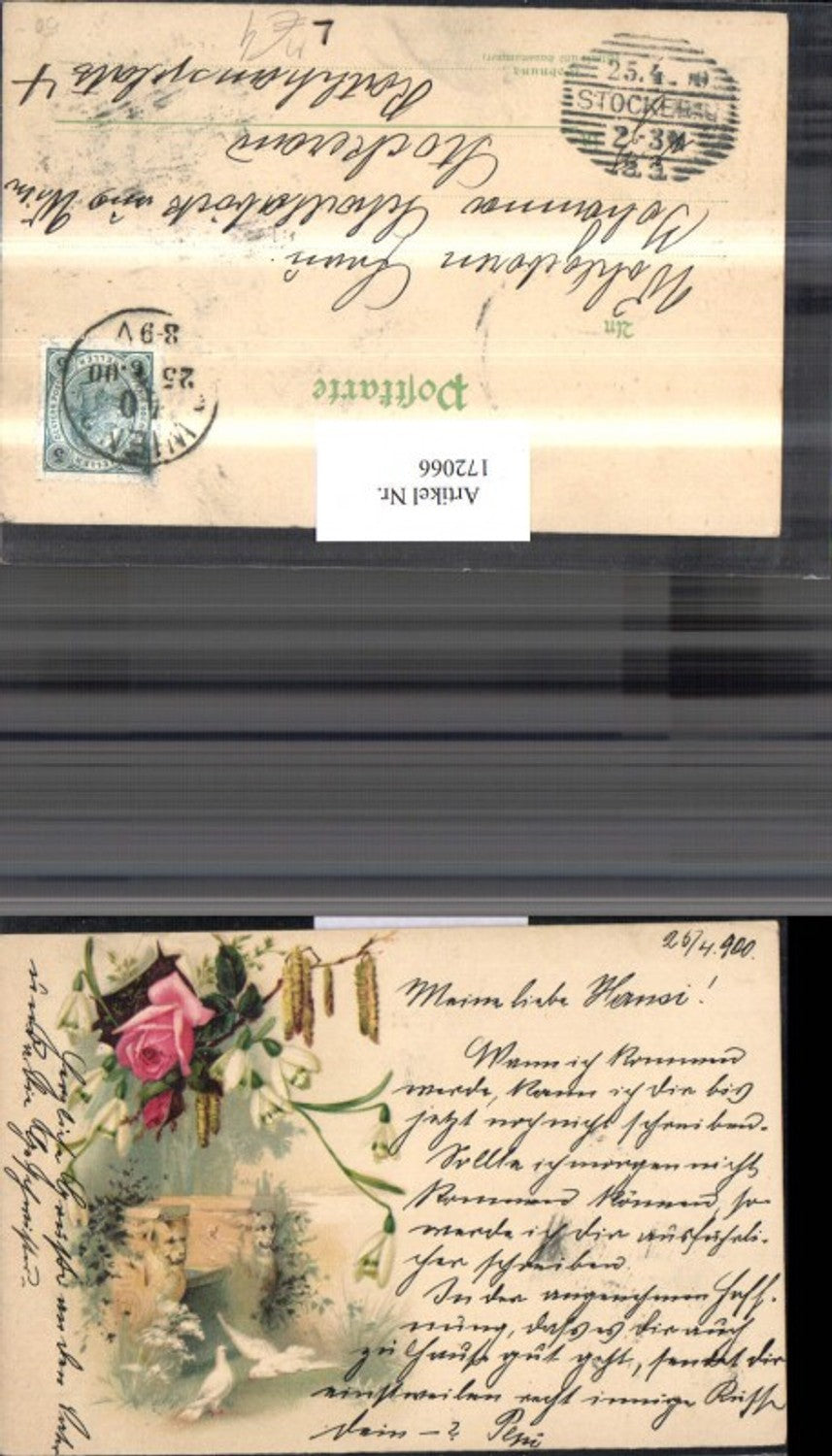 172066,Künstler Ak Litho Blumen Schneeglocken Tauben Rose