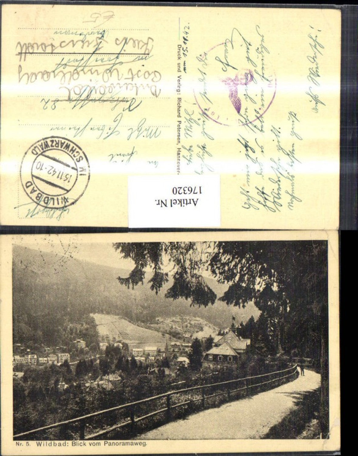 176320, Wildbad partial view from the panoramic path