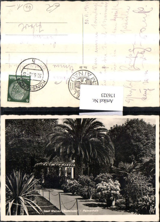 176323, Mainau Island, Lake Constance, Palm Grove, Palm Trees