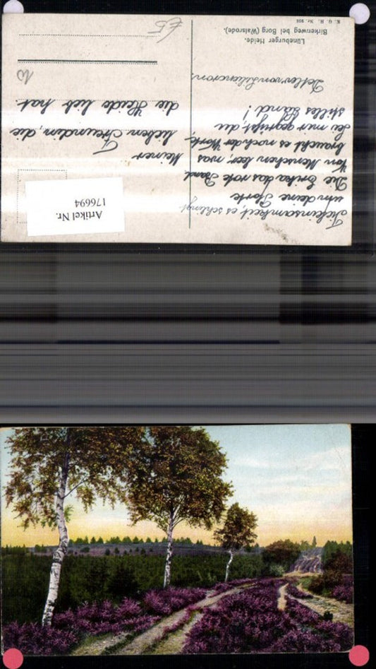 176694,Lüneburger Heide Birkenweg b. Borg Walsrode