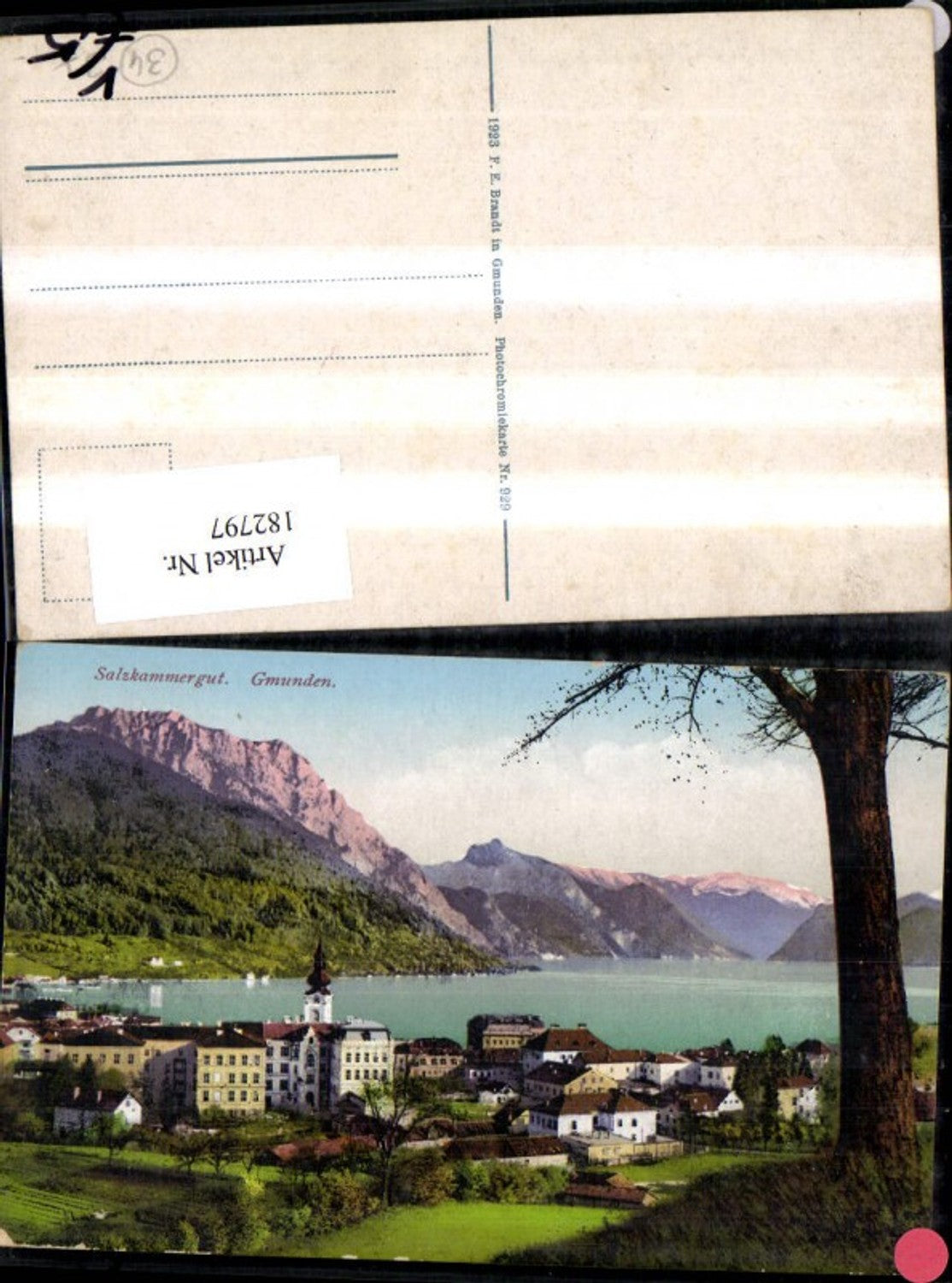 182797,Gmunden Salzkammergut Teilansicht pub F. E. Brandt 929
