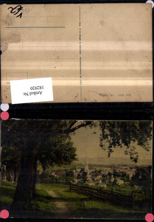 182920,Bad Hall Teilansicht pub F. E. Brandt 1054