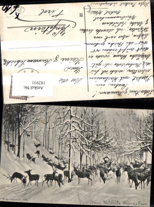 182931,Weyer a. d. Enns Wildfütterung Waldhütte Wild Reh Hirsch Künstler Ak sign Schweinhammer