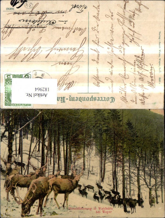 182964,Weyer a. d. Enns Wildfütterung Waldhütte Wild Reh Hirsch