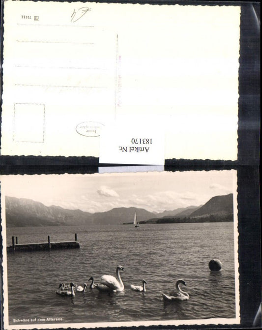 183170,Salzkammergut Schäwne auf d. Attersee