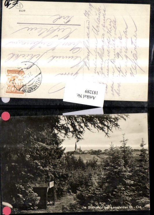 183289,Steinwald b. Leonfelden Blick auf d. Ort