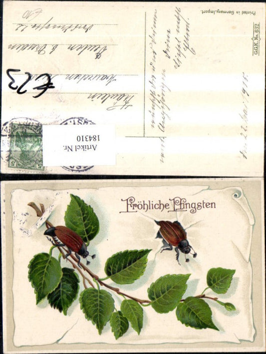 184310, Pentecost embossed postcard, paper sheet with birch twig, beetle, June beetle