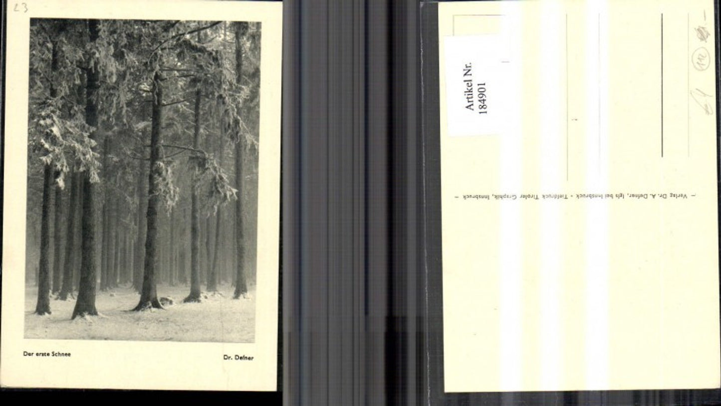 184901,Dr Defner Der erste Schnee