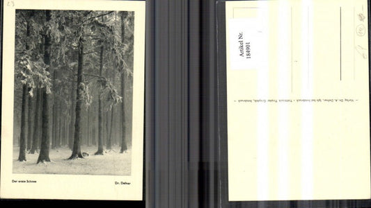 184901,Dr Defner Der erste Schnee
