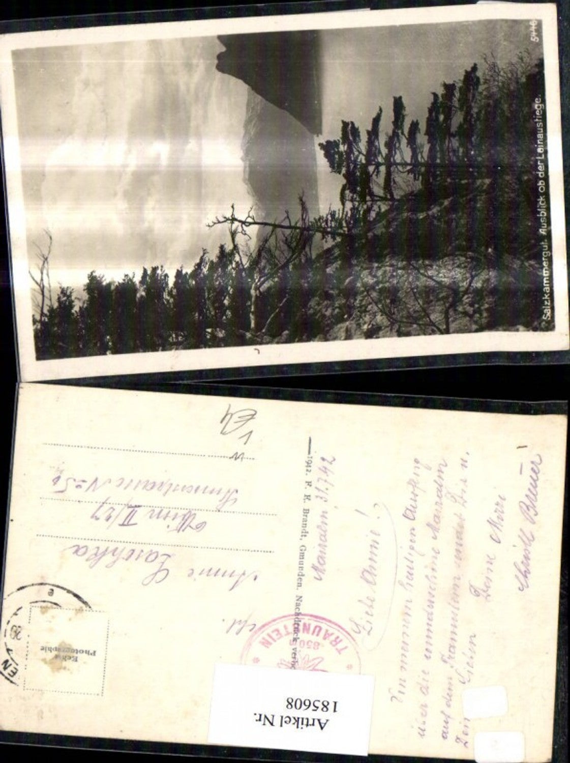 185608,Salzkammergut Blick ob d. Lainaustiege b. Traunstein pub Brandt 5446